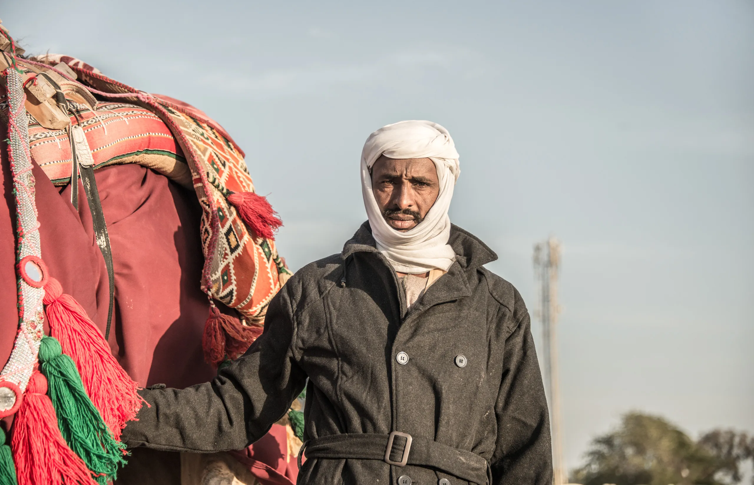 A man standing beside a decorated camel